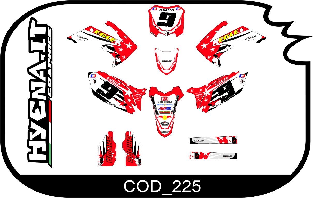 Graphic kit HONDA-CRF 250 2010 COD_225 
